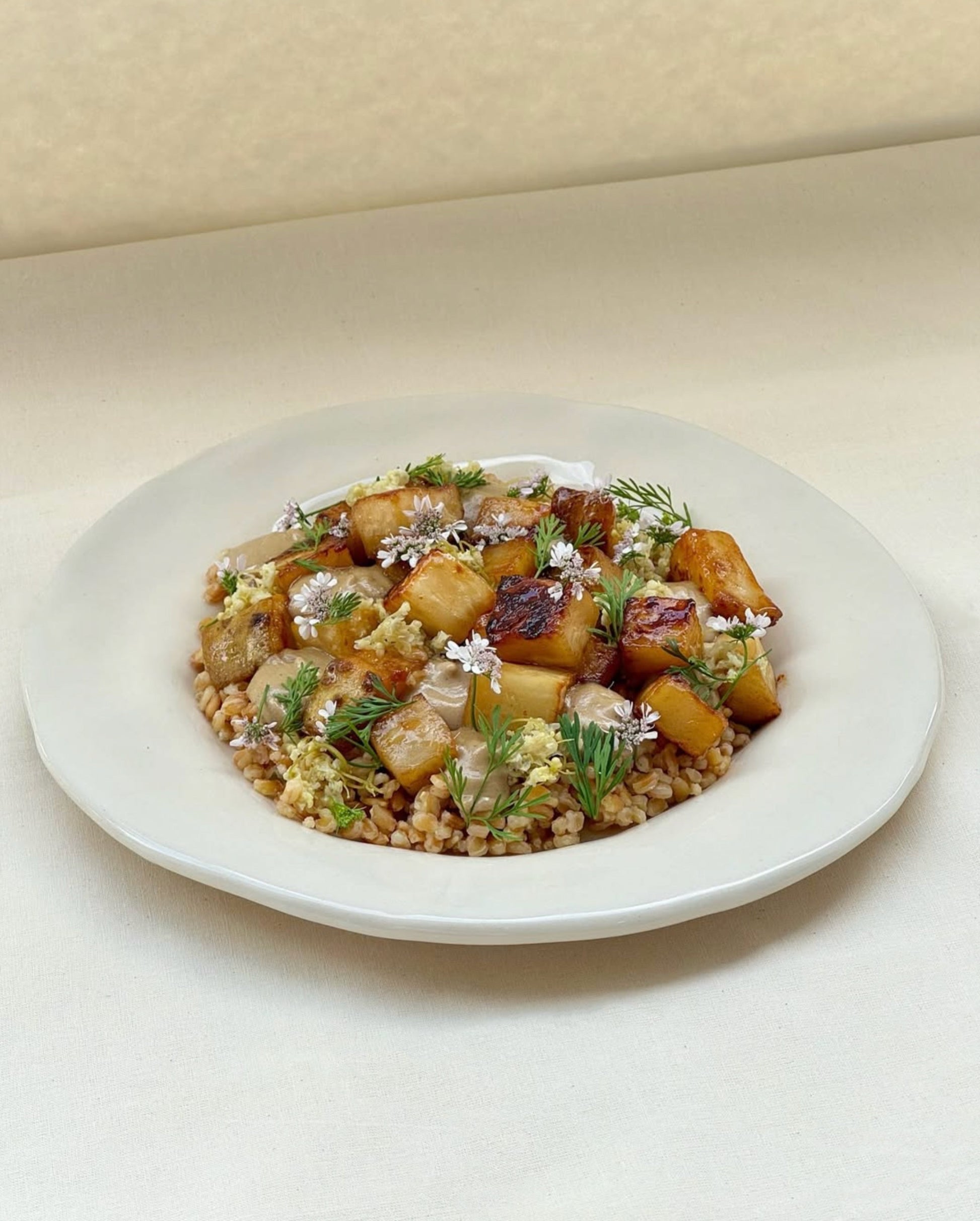 Vilm Plate AUAKE