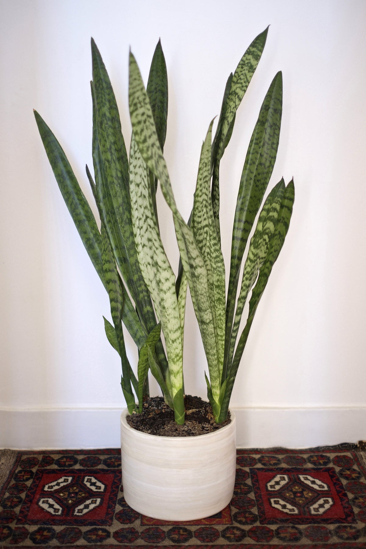 Bouvet Plant Pot AUAKE